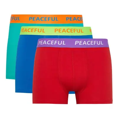 DEFACTO Regular Fit 3-Piece Boxer