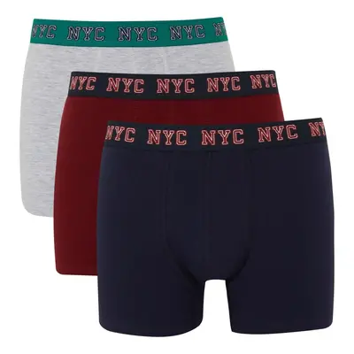 DEFACTO Regular Fit 3-Pack Boxer