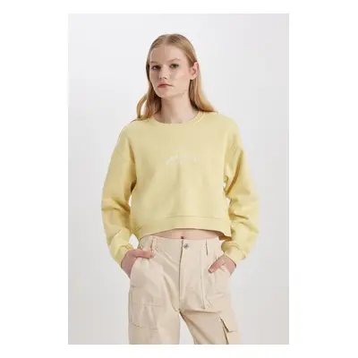 DEFACTO Boxy Fit Crew Neck Thick Fabric Sweatshirt