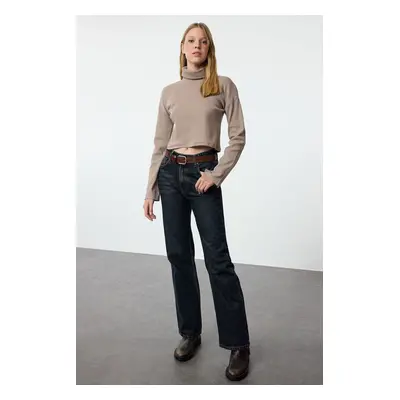 Trendyol Stone Fitted High Collar Crop Stretchy Knitted Blouse