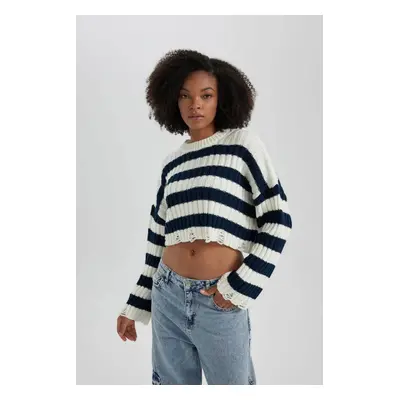 DEFACTO Regular Fit Crew Neck Knitwear Sweater