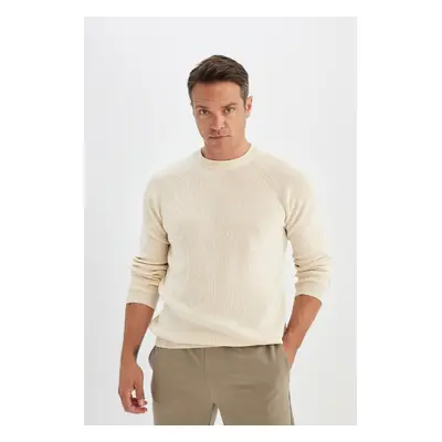 DEFACTO Standard Fit Regular Cut Crew Neck Basic Plain Knitwear Sweater