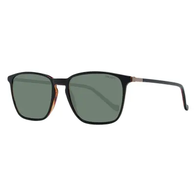 Hackett Sunglasses