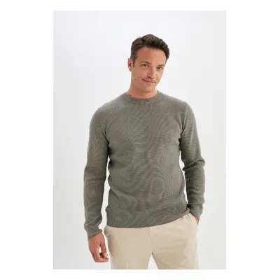 DEFACTO Standard Fit Regular Cut Cotton Crew Neck Knit Sweater