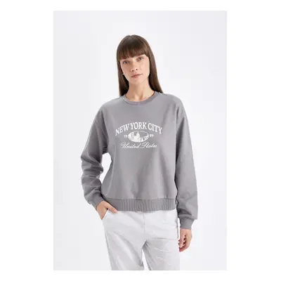 DEFACTO Regular Fit Crew Neck Printed Thin Sweatshirt