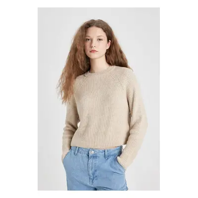 DEFACTO Cool Regular Fit Crew Neck Basic Plain Knitwear Sweater