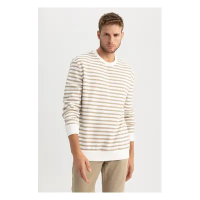 DEFACTO Comfort Regular Fit Relaxed Fit Crew Neck Striped Sweatshirt