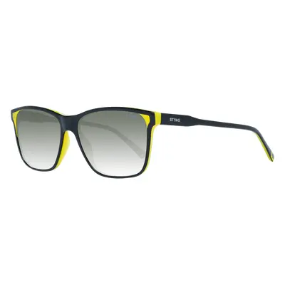 Sting Sunglasses