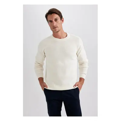 DEFACTO Standard Fit Regular Cut Crew Neck Basic Plain Knitwear Sweater