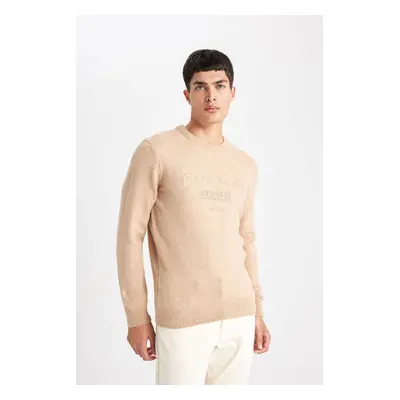 DEFACTO Relax Fit Crew Neck Printed Knitwear Sweater