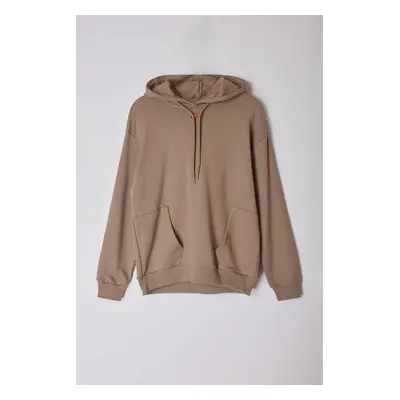 Trendyol Mink Limited Edition Oversize/Wide Cut Hooded Pocket Detailed Sweatshirt