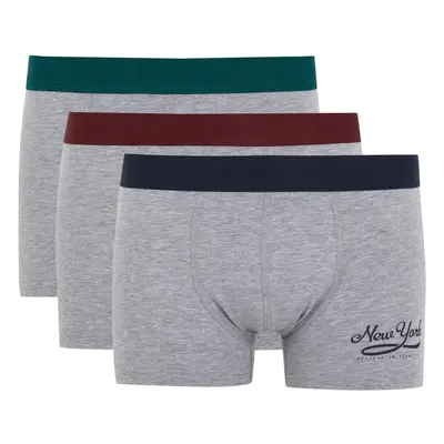 DEFACTO Regular Fit 3-pack Boxer