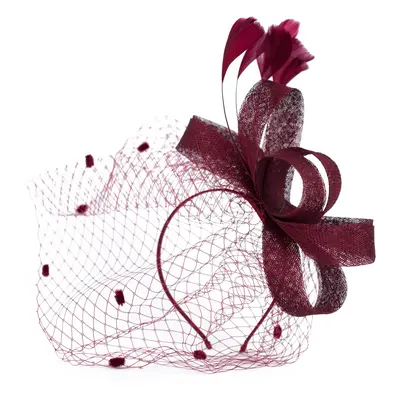 Art Of Polo Woman's Fascinator cz22171