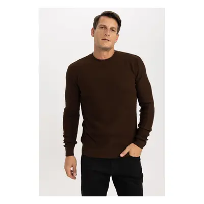 DEFACTO Standard Fit Crew Neck Knitwear Sweater