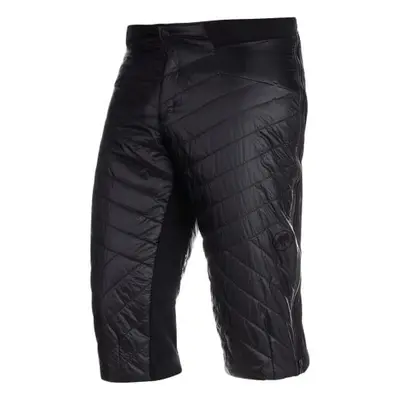 Pánské kraťasy Mammut Aenergy IN Shorts Men