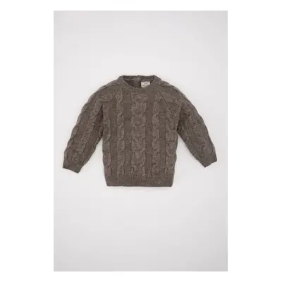 DEFACTO Baby Boy Crew Neck Knitwear Sweater