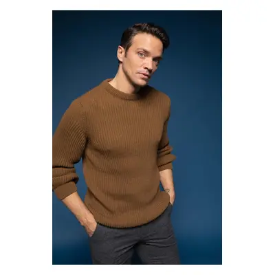 DEFACTO Slim Fit Crew Neck Knitwear Sweater