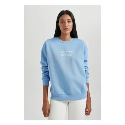 DEFACTO Relax Fit Crew Neck Thick Sweatshirt