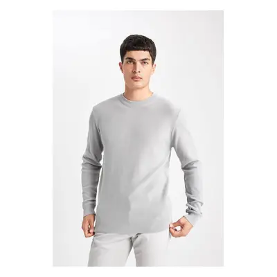 DEFACTO Standard Fit Crew Neck Knitwear Sweater