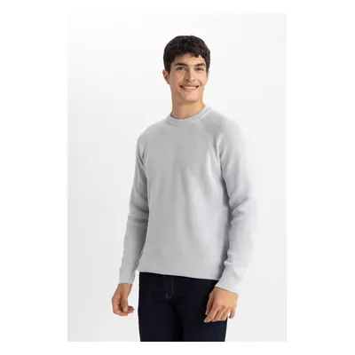 DEFACTO Standard Fit Crew Neck Sweater