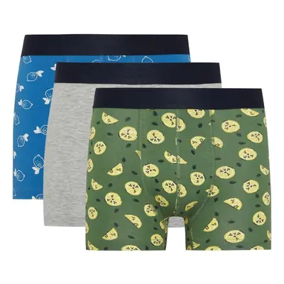 DEFACTO Regular Fit 3-pack Boxer