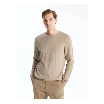 LC Waikiki Lw - Crew Neck Long Sleeve Men's Knitwear Sweater