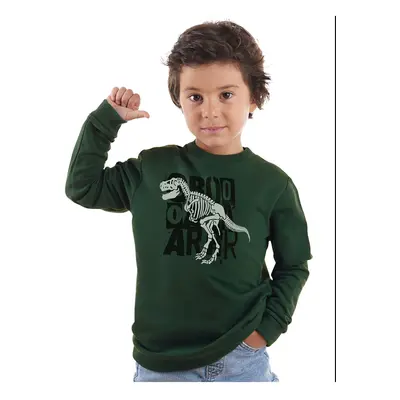 Denokids Roarr Dino Boy Khaki Sweatshirt