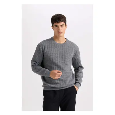 DEFACTO Grey Regular Fit Crew Neck Jacquard Sweatshirt