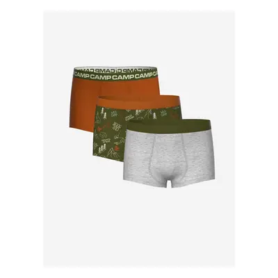 LC Waikiki Printed Boy's Boxer Set of