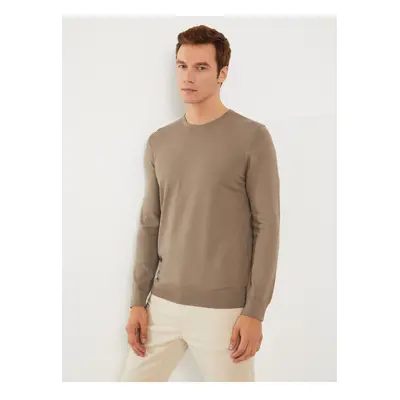 LC Waikiki Crew Neck Long Sleeve Men's Knitwear Sweater