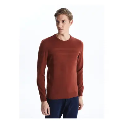 LC Waikiki Crew Neck Long Sleeve Men's Knitwear Sweater