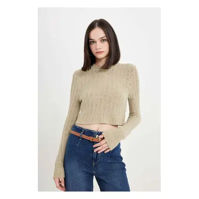 DEFACTO Regular Fit Crop Crew Neck Knitted Hole Knitwear Sweater