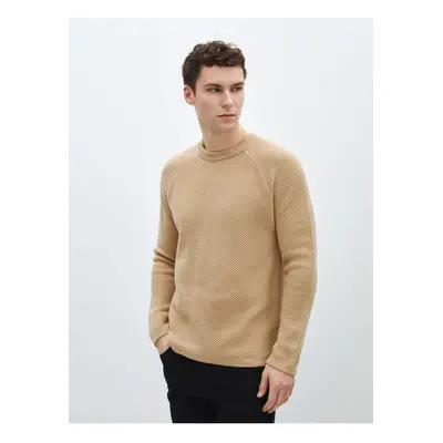 LC Waikiki Crew Neck Long Sleeve Men's Knitwear Sweater