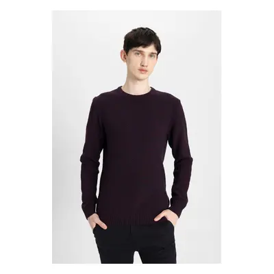 DEFACTO Standard Fit Regular Cut Crew Neck Textured Basic Plain Knitwear Sweater