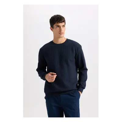 DEFACTO Regular Fit Crew Neck Jacquard Sweatshirt