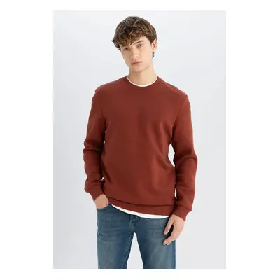 DEFACTO Thread Cotton Raised Polar Fleece Regular Fit Crew Neck Thick Sweatshirt