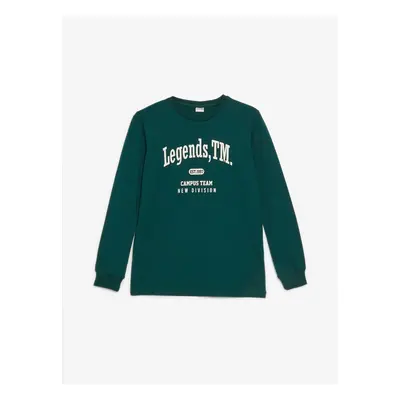 LC Waikiki Crew Neck Printed Long Sleeve Boys' T-Shirt