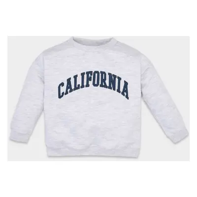 DEFACTO Baby Boy Gray Crew Neck Text Printed Sweatshirt