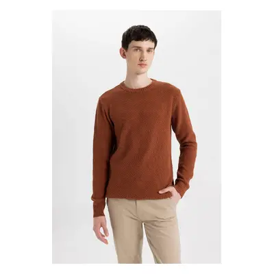 DEFACTO Standard Fit Regular Cut Crew Neck Textured Basic Knitwear Sweater