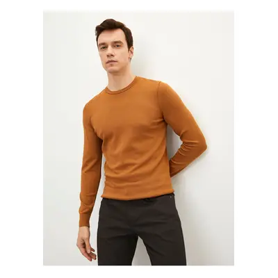 LC Waikiki Crew Neck Long Sleeve Men's Knitwear Sweater