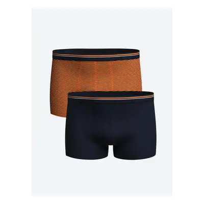 LC Waikiki Standard Mold Cotton Flexible Men's Boxer 2-Pack