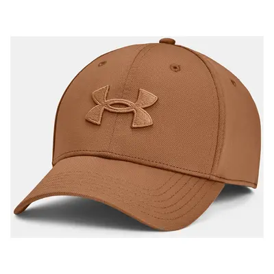 Pánská kšiltovka Under Armour