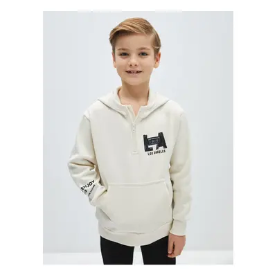 LC Waikiki Printed Long Sleeve Boys' Hoodie