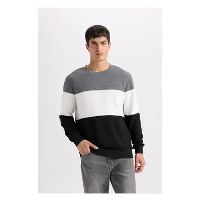 DEFACTO Regular Fit Crew Neck Jacquard Sweatshirt