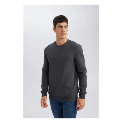 DEFACTO Thread Cotton Raised Polar Fleece Regular Fit Crew Neck Thick Sweatshirt