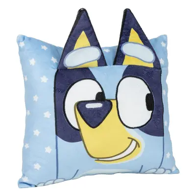 CUSHION CON APLICACIONES BLUEY