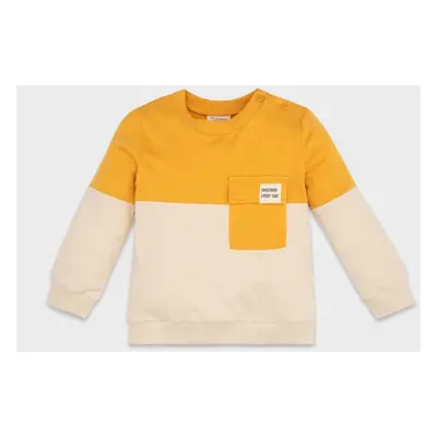 DEFACTO Baby Boy 100% Cotton Crew Neck Color Block Soft Furry Sweatshirt