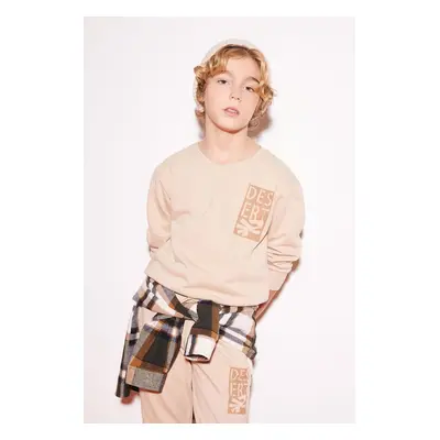 DEFACTO Boy's Crew Neck Printed Sweatshirt