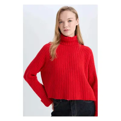 DEFACTO Oversize Wide Pattern Turtleneck Knitwear Sweater