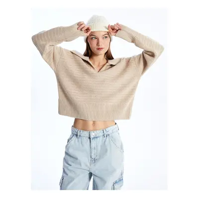 LC Waikiki Polo Neck Plain Long Sleeve Women's Knitwear Sweater